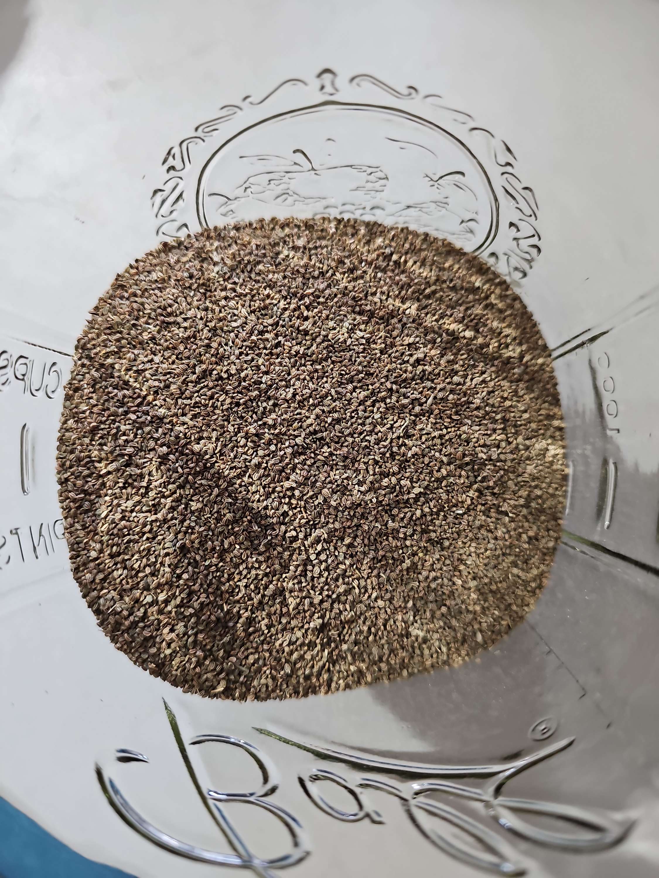Celery Seeds, Whole image 0