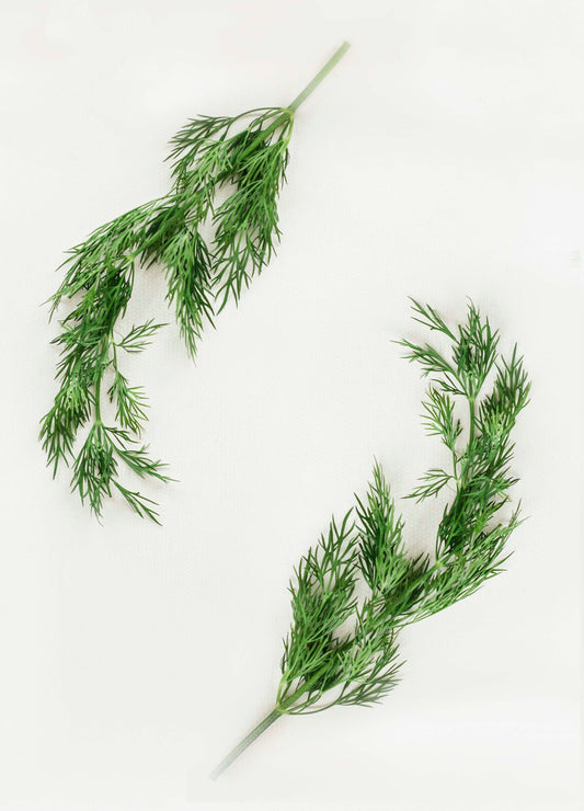Dill Weed Cut image 0